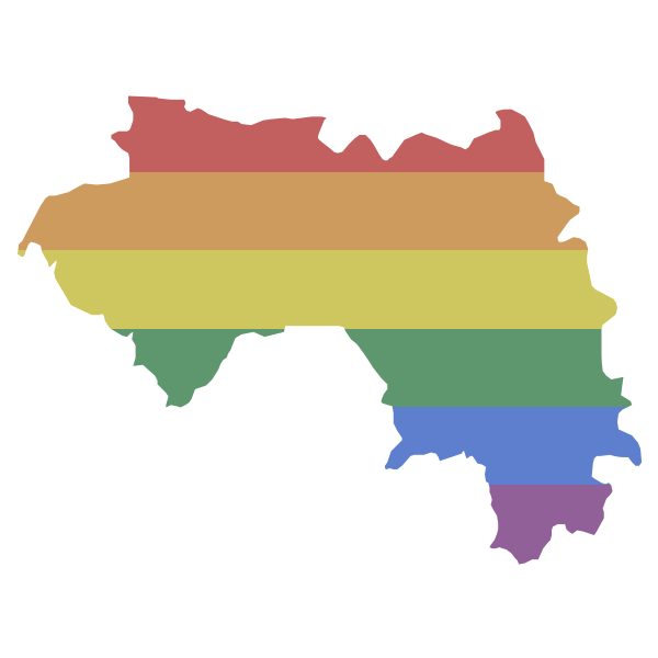 LGBT Guinea Flag