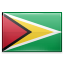 Guyana Flag