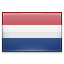 Central Jutland Flag