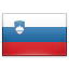 Trnovska vas Flag